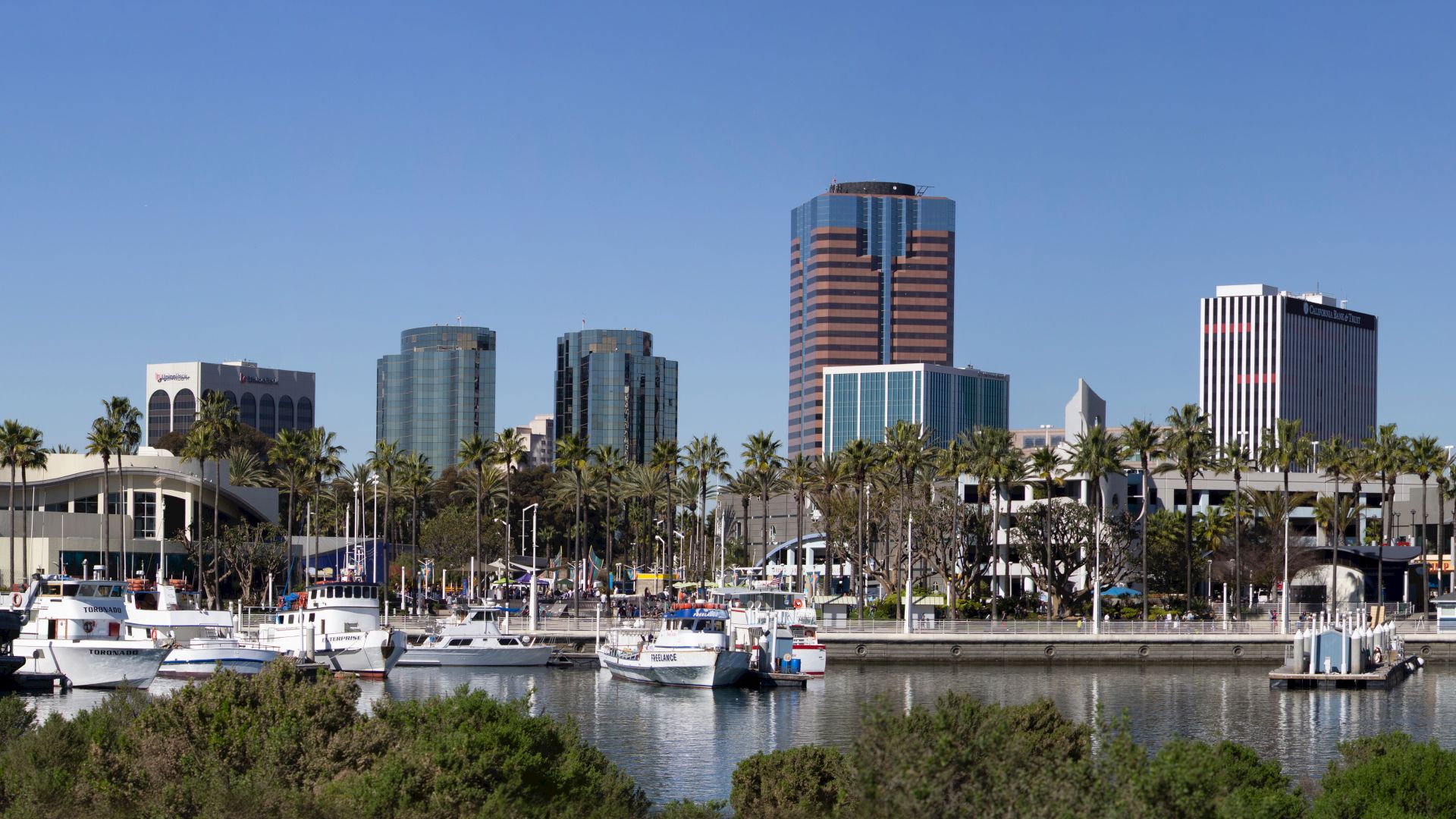 A marina with yachts docked is in the foreground, while a city skyline with tall buildings and palm trees is in the background under a clear blue sky.