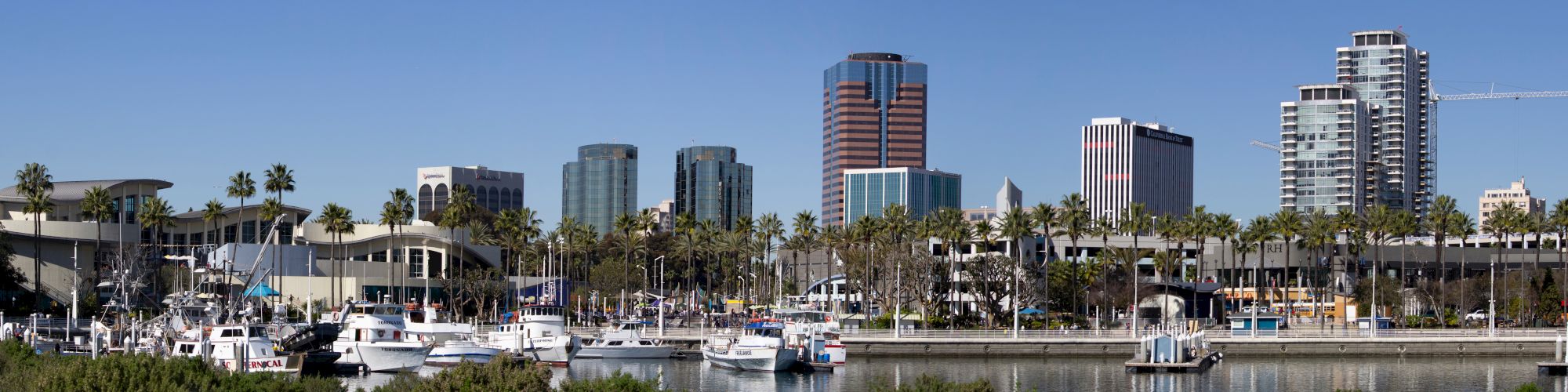 A marina with yachts docked is in the foreground, while a city skyline with tall buildings and palm trees is in the background under a clear blue sky.